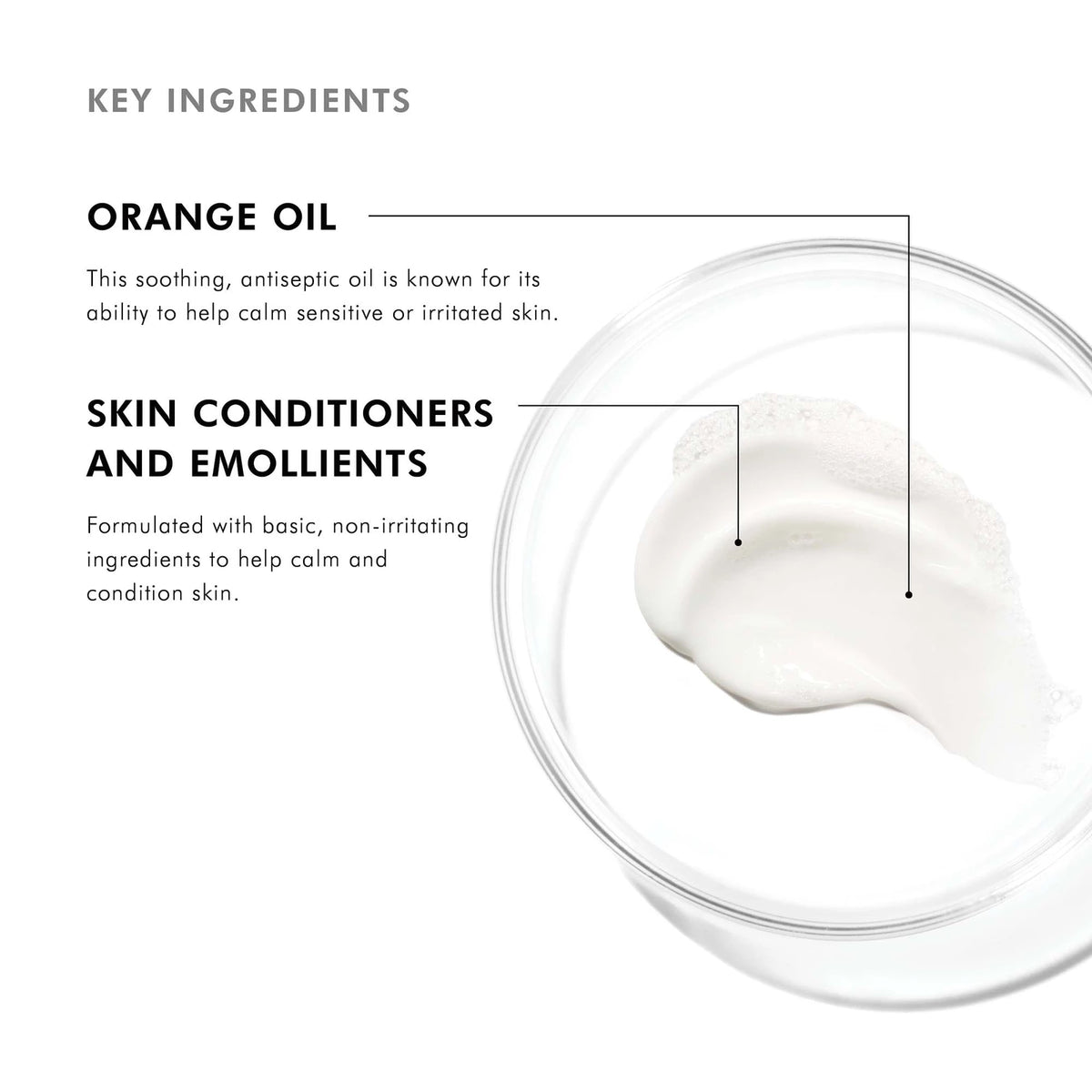 Gentle Cleanser